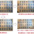 簡略図解 セブンブリッジのルールとプレイイングのコツ Board Game To Life